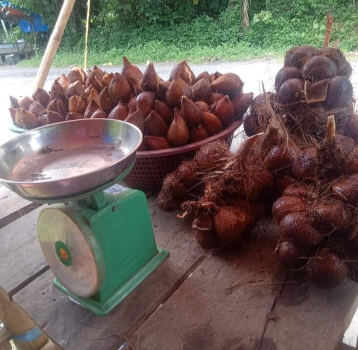 Harga buah salak Batu Mbekhong masih relatif terjangkau.